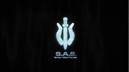 SAS標誌