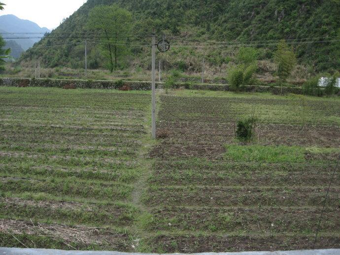 小埠嶺村 小埠嶺村