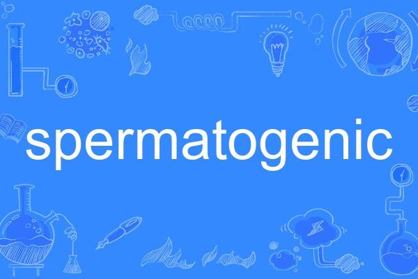 spermatogenic spermatogenic