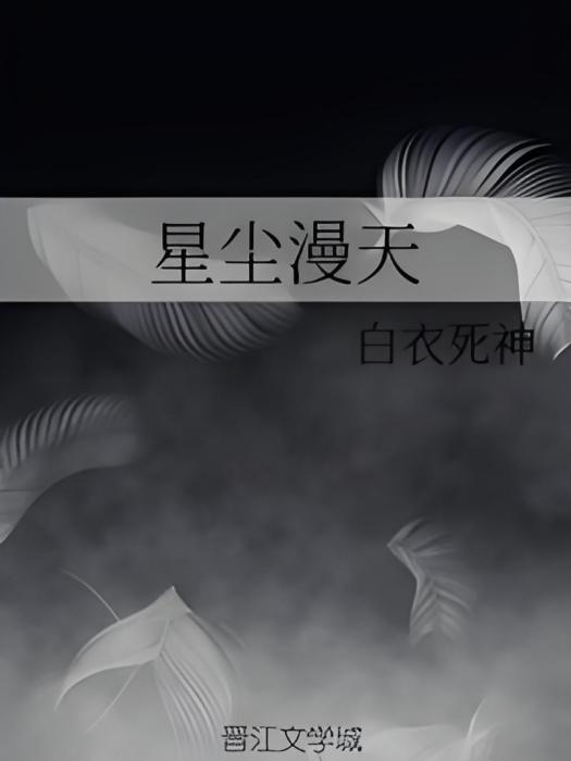 星塵漫天 星塵漫天