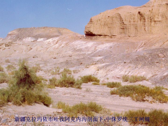 三工河組 三工河組