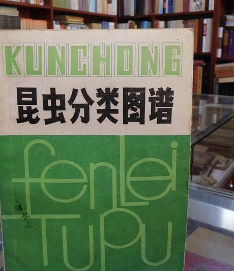 昆蟲分類圖譜 昆蟲分類圖譜