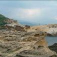 野柳奇岩 野柳奇岩