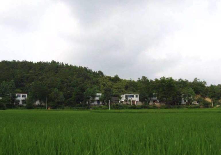 堰沖村 堰沖村