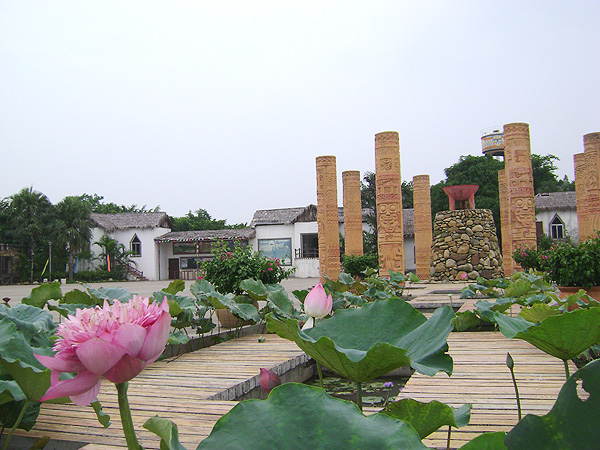 濕地公園一角