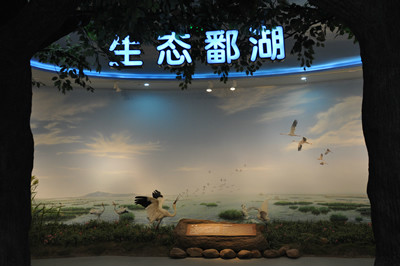 江西省博物館(江西省大型綜合性博物館)