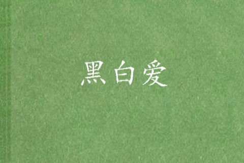 黑白愛(暗夜93創作的小說) 黑白愛(暗夜93創作的小說)