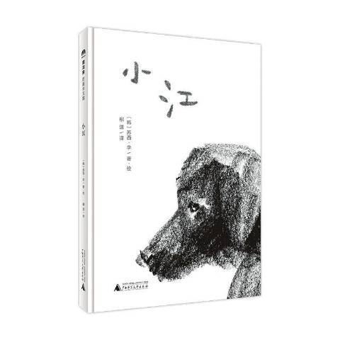 小江(2021年廣西師範大學出版社出版的圖書) 小江(2021年廣西師範大學出版社出版的圖書)