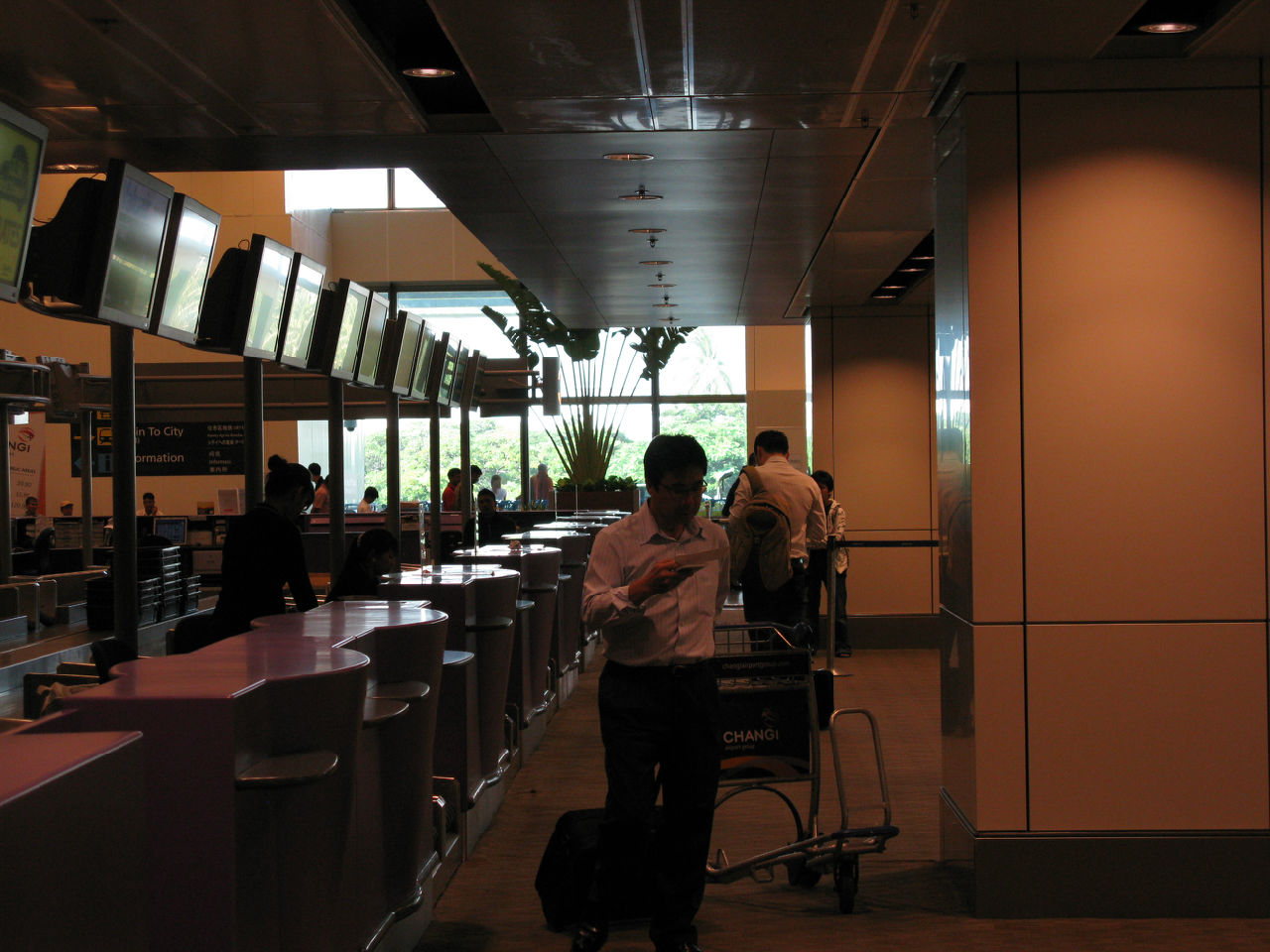 新加坡樟宜國際機場(新加坡樟宜機場)