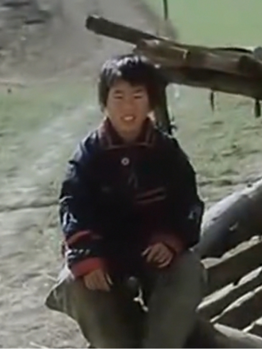 李青山(劇情片《盲山》中的角色) 李青山(劇情片《盲山》中的角色)
