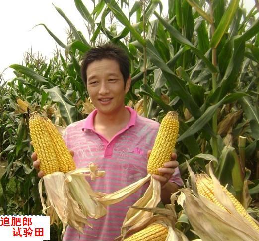 沃特姆 沃特姆