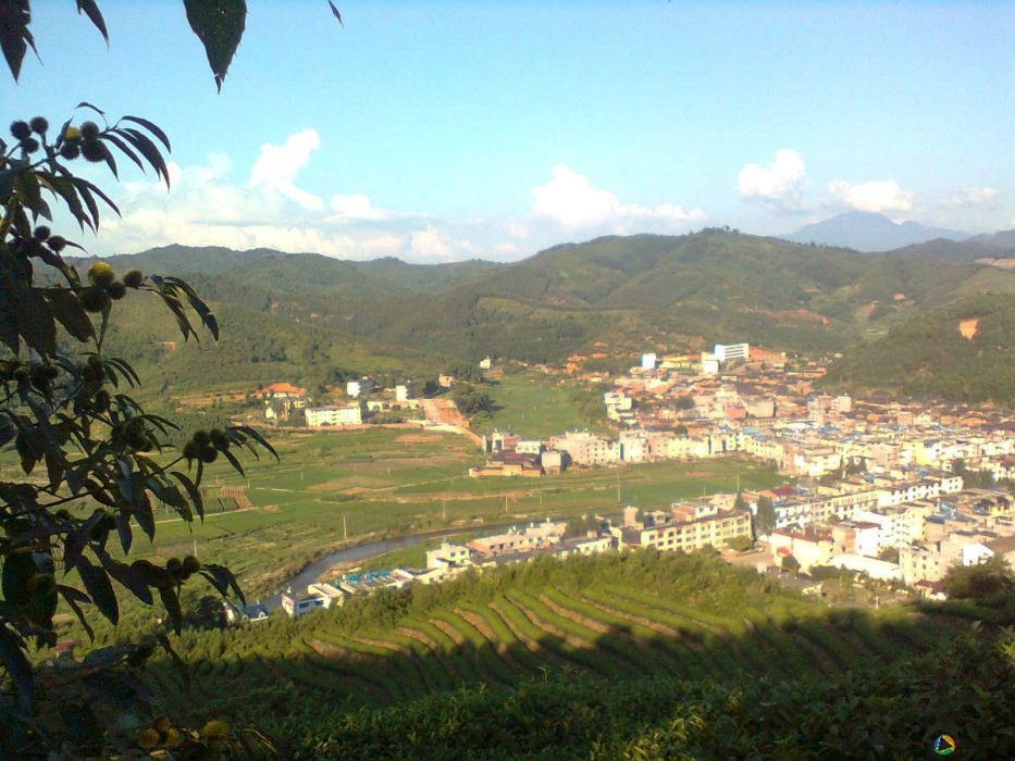 東屯一村 東屯一村