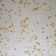 溶氧量 溶氧量