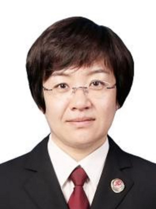 李英(上海市閔行區人民檢察院黨組成員、副檢察長) 李英(上海市閔行區人民檢察院黨組成員、副檢察長)