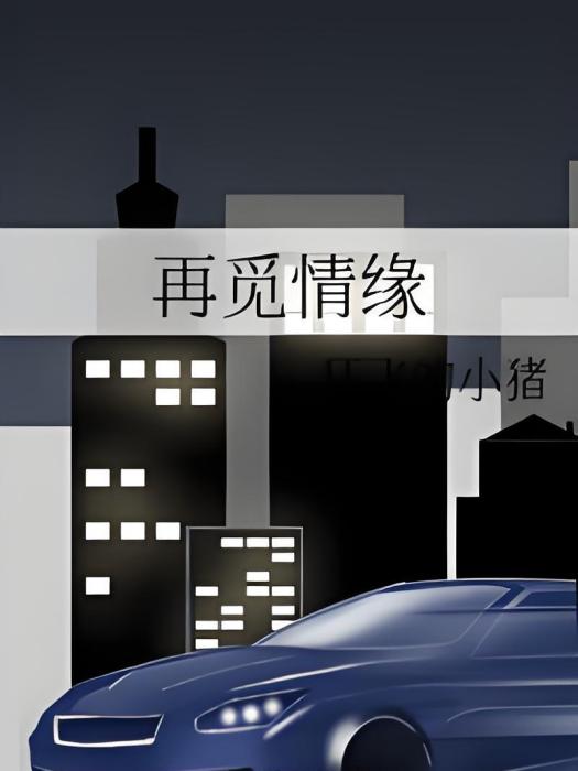 再覓情緣 再覓情緣