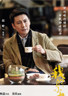 我的小姨(2016年顧晶執導電視劇)