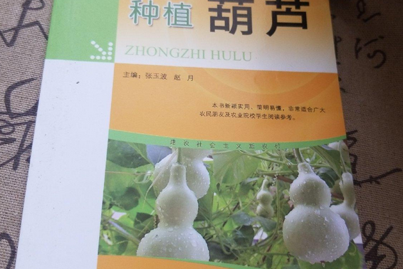 種植葫蘆 種植葫蘆
