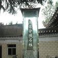 分陝石柱 分陝石柱