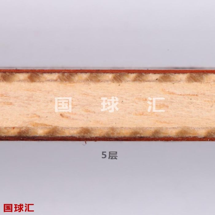 玫瑰5 玫瑰5