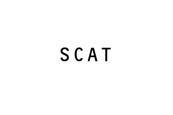 SCAT(戰略導向人才培養服務)