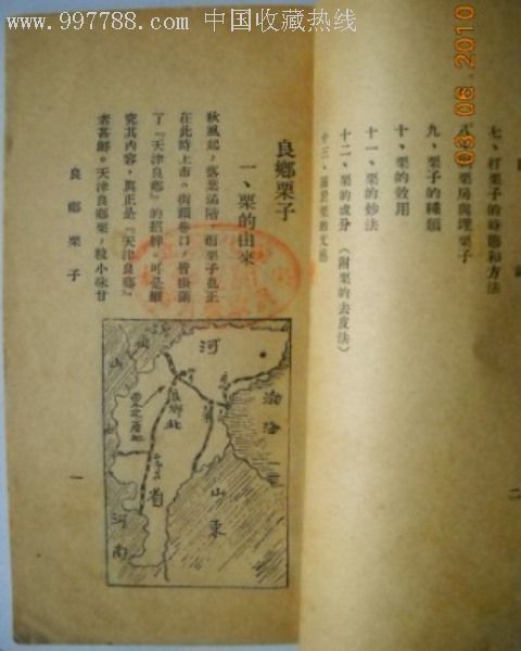 野栗子 野栗子