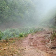 大坍山村 大坍山村