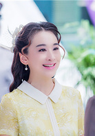 功夫姐妹(2016年牛牛執導電視劇)