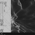 玩家(夜X所著小說)
