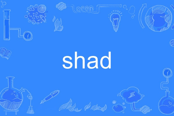 shad shad