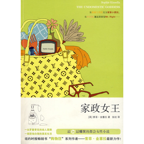 家政女王(2008年5月上海人民出版社出版圖書)
