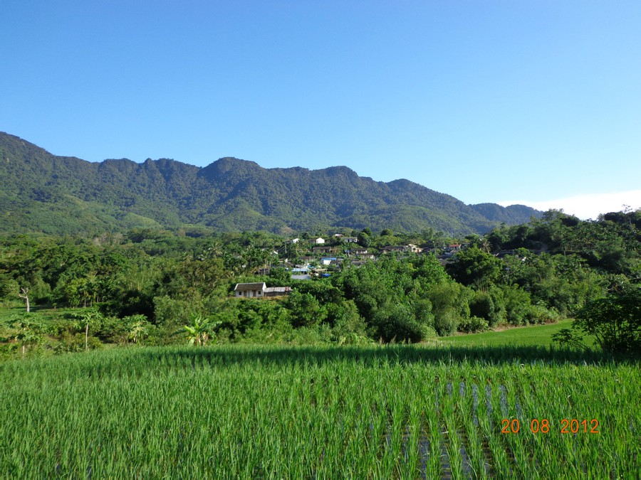 吊羅山鄉崩嶺村