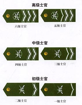 我軍1999式陸軍士官軍銜