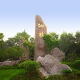 仙林大學城