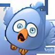 鳥類BuzzzBirds 鳥類BuzzzBirds