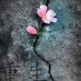 重回1999(駝色的綿羊創作的都市小說類網路小說) 重回1999(駝色的綿羊創作的都市小說類網路小說)