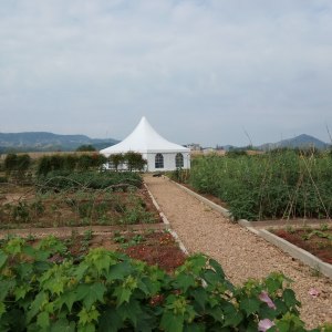 高碑田園 高碑田園