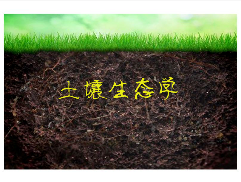 土壤生態學(生態學的新興分支學科之一)