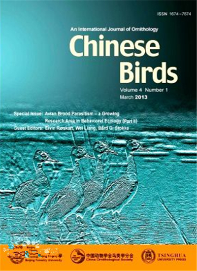 Chinese Birds