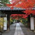 龍安寺 龍安寺
