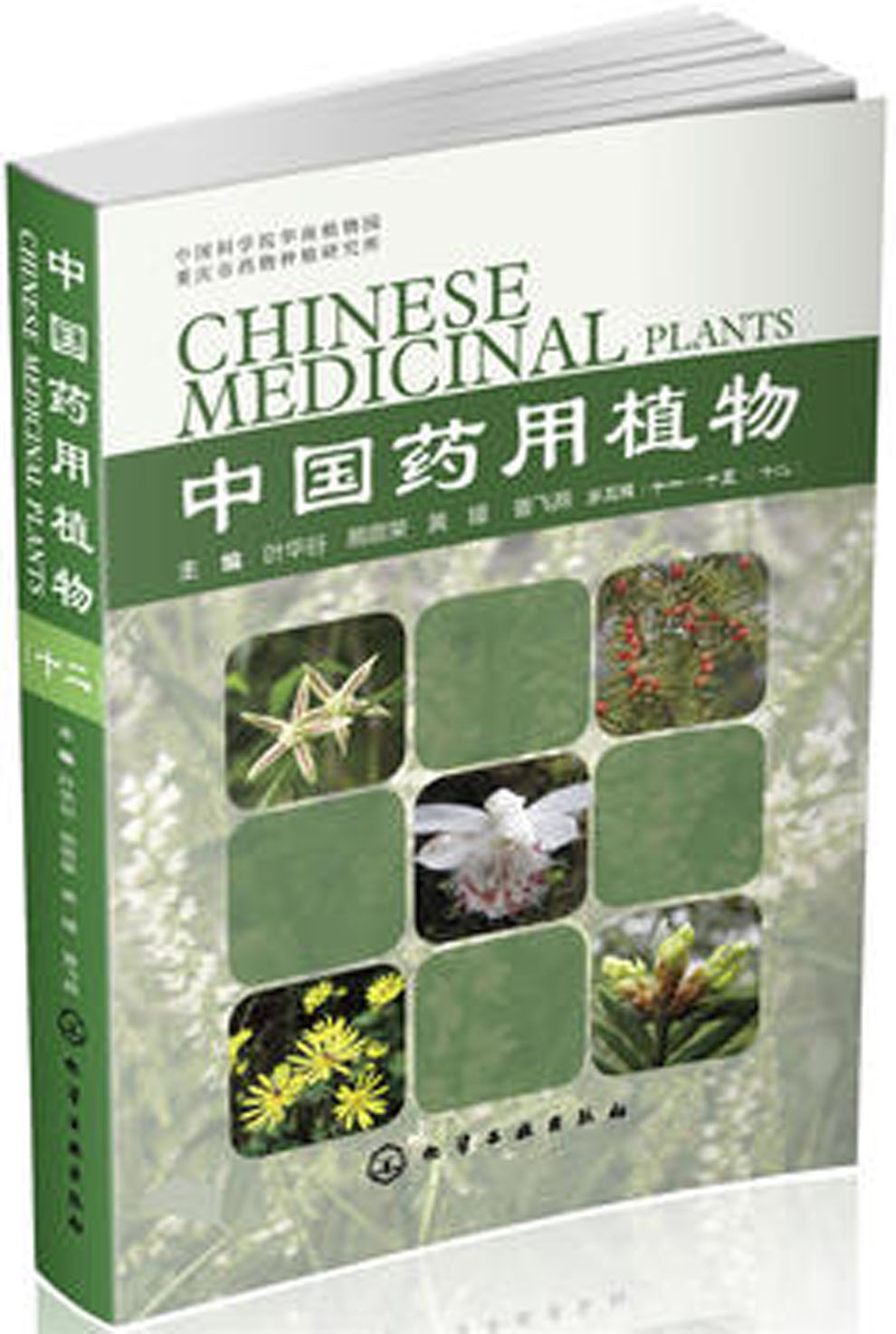 中國藥用植物（十二）