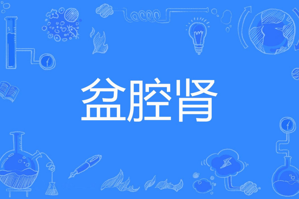 盆腔腎 盆腔腎