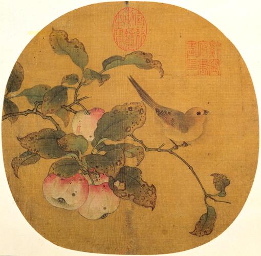 宋黃筌蘋婆山鳥圖