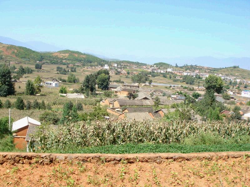 後村自然村(雲南昆明市拖布卡鎮下轄村) 後村自然村(雲南昆明市拖布卡鎮下轄村)
