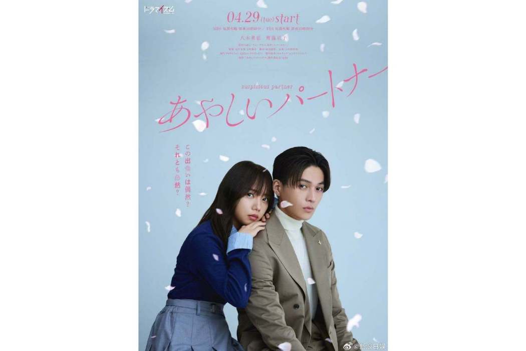 奇怪的搭檔(八木勇征、齊藤京子主演的電視劇)