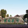 中國茶市 中國茶市