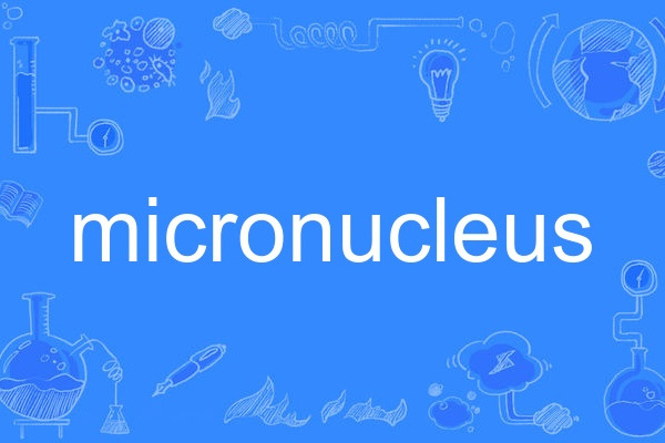 micronucleus micronucleus