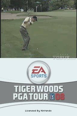 泰戈·伍茲高爾夫PGA巡迴賽2008