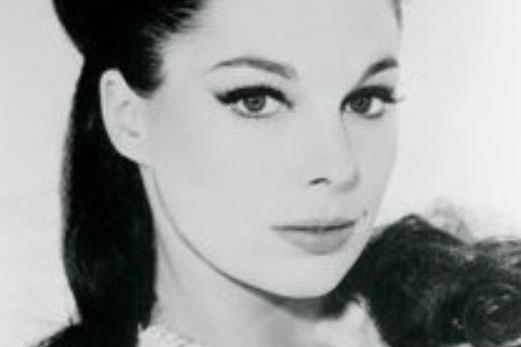 特蕾西·里德(Tracy Reed) 特蕾西·里德(Tracy Reed)