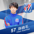 陳曉毛(足球運動員) 陳曉毛(足球運動員)