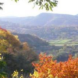 岔門村 岔門村
